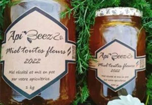 Miel toutes fleurs été - COUDROY